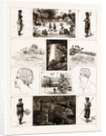 Sketches In Fiji, And In The Island Of Rotumah by Anonymous