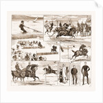 The Yeomanry Week At Weymouth, UK by Anonymous