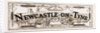 Newcastle-on-tyne, 1881 by Anonymous