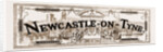 Newcastle-on-tyne, 1881 by Anonymous