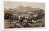 The Revolt In The Transvaal, South Africa by Anonymous