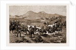 The Revolt In The Transvaal, South Africa by Anonymous