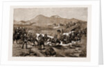 The Revolt In The Transvaal, South Africa by Anonymous