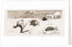 The Revolt In The Transvaal, South Africa by Anonymous