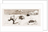 The Revolt In The Transvaal, South Africa by Anonymous