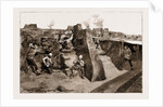 The Revolt In The Transvaal, South Africa by Anonymous