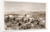 The Revolt In The Transvaal by Anonymous