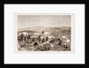 The Revolt In The Transvaal by Anonymous