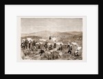 The Revolt In The Transvaal by Anonymous