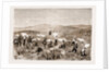 The Revolt In The Transvaal by Anonymous