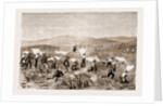 The Revolt In The Transvaal by Anonymous