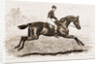 Iroquois, The Winner Of The Derby Of 1881 by Anonymous