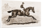 Iroquois, The Winner Of The Derby Of 1881 by Anonymous