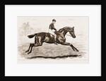 Iroquois, The Winner Of The Derby Of 1881 by Anonymous