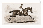 Iroquois, The Winner Of The Derby Of 1881 by Anonymous
