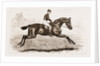 Iroquois, The Winner Of The Derby Of 1881 by Anonymous