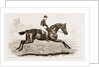 Iroquois, The Winner Of The Derby Of 1881 by Anonymous