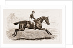 Iroquois, The Winner Of The Derby Of 1881 by Anonymous