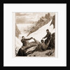 Sport In Kashmir: Skinning A Snow Bear, 1881 by Anonymous