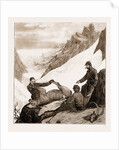 Sport In Kashmir: Skinning A Snow Bear, 1881 by Anonymous