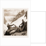 Sport In Kashmir: Skinning A Snow Bear, 1881 by Anonymous