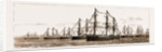 British And Foreign Ships Of War In The Bay Celebrating Her Majesty's Birthday, 1881 by Anonymous