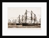 British And Foreign Ships Of War In The Bay Celebrating Her Majesty's Birthday, 1881 by Anonymous
