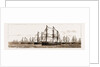 British And Foreign Ships Of War In The Bay Celebrating Her Majesty's Birthday, 1881 by Anonymous