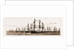 British And Foreign Ships Of War In The Bay Celebrating Her Majesty's Birthday, 1881 by Anonymous