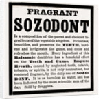 Fragrant Sozodont by Anonymous