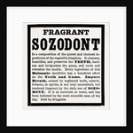 Fragrant Sozodont by Anonymous