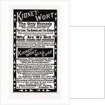 Kidney Wort, 1880, USA by Anonymous