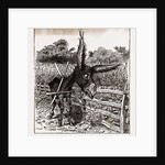 The Hungry Democracy—the Greatest Faster On Record, USA by Anonymous