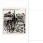 The Hungry Democracy—the Greatest Faster On Record, USA by Anonymous