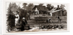 The English Garden, Scenes In Rugby, The English Colony In Tennesse, 1880, USA by Anonymous