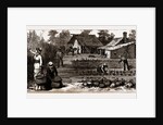 The English Garden, Scenes In Rugby, The English Colony In Tennesse, 1880, USA by Anonymous