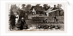 The English Garden, Scenes In Rugby, The English Colony In Tennesse, 1880, USA by Anonymous