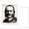 Jacques Offenbach, 1880 by Anonymous