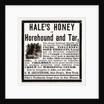 Hale's Honey Or Horehound And Tar, 1880 by Anonymous