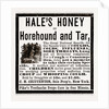 Hale's Honey Or Horehound And Tar, 1880 by Anonymous