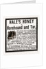 Hale's Honey Or Horehound And Tar, 1880 by Anonymous