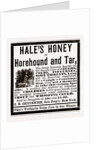 Hale's Honey Or Horehound And Tar, 1880 by Anonymous