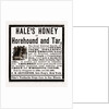 Hale's Honey Or Horehound And Tar, 1880 by Anonymous