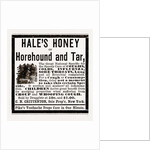 Hale's Honey Or Horehound And Tar, 1880 by Anonymous