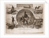 Cruelties Practiced On Fish And Fowl, 1880 by Anonymous