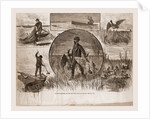 Cruelties Practiced On Fish And Fowl, 1880 by Anonymous