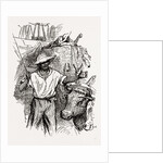 Georgia, African-american Drivers, 1880 by Anonymous