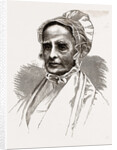 Lucretia Mott, 1880 by Anonymous