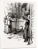 Alabama, Agricultural Workers, the Dog Won't Bite You, 1880 by Anonymous