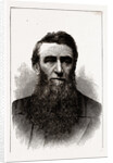 The Hon. D. H. Jerome, Governor-elect of Michigan by Anonymous